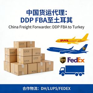 Transitaire international Zhonglong DDP FBA Turquie DHL UPS FEDEX Expédition aérienne maritime ferroviaire Europe Amérique du Nord Moyen-Orient - Product Image 4