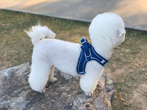 Tali Kekang Hewan Peliharaan Suede, Tali Dada Rompi Anjing Kecil <span class=keywords><strong>Harness</strong></span> Kucing Bernapas Reflektif - Product Image 5