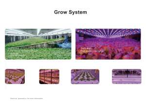 Pour <span class=keywords><strong>chambre</strong></span> <span class=keywords><strong>de</strong></span> <span class=keywords><strong>croissance</strong></span> des plantes, barre <span class=keywords><strong>de</strong></span> floraison, système <span class=keywords><strong>de</strong></span> <span class=keywords><strong>culture</strong></span>, jardin d'herbes, système <span class=keywords><strong>de</strong></span> pot d'arrosage automatique, démarreur, plateaux <span class=keywords><strong>de</strong></span> <span class=keywords><strong>culture</strong></span>, maison <span class=keywords><strong>de</strong></span> <span class=keywords><strong>culture</strong></span> - Product Image 6