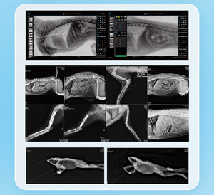 All-in-one veterinaire CT DR-scanner, multifunctioneel, dynamisch en statisch, voor grote dierenklinieken en ziekenhuizen, voor diagnose. - Product Image 6