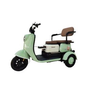 Triciclo eléctrico cerrado de 800/1000W Vehículo de pasajeros cerrado de tres ruedas con kilometraje de conducción de 30km Certificado EEC/DOT/GCC - Product Image 3