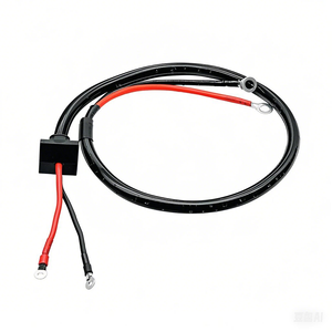 Harness Kabel Pengisian Baterai 2-Pin Kustom dengan Terminal Cincin dan Konektor Panel Tahan Air untuk Sepeda Motor dan Mobil - Product Image 2