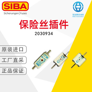 Fusible de Cartucho Siba 2030934 80A 250V AC DC para Protección Eléctrica - Product Image 5