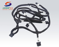 Kabel Rakitan Profesional 2.54mm 2/3/4/5/6 Pin Konektor Betina ECU SH JST ZH PH XH Kabel Khusus