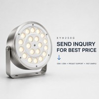 Projecteur LED Submersible Robuste IP68 en Acier Inoxydable 304 DMX512 RGB pour Fontaines, Aménagements Paysagers et Applications Commerciales, Résistant au Feu