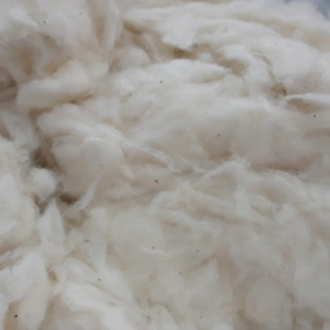 Coton peigné, coton en mèche, coton brut pour le filage, fil respirant et écologique - Mme Mira - Product Image 1