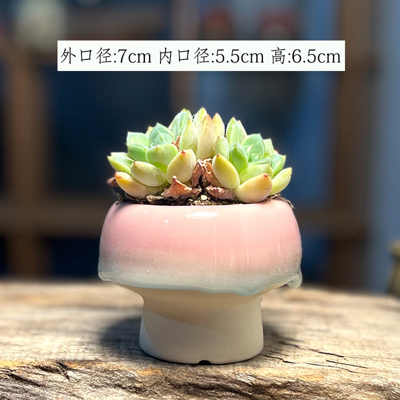 สีขาวตามภาพที่แสดง-2