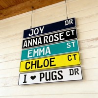 Plaque Métallique Personnalisée Amusante Vintage Fine pour la Rue, Décoration Murale 16 x 4 Pouces, Décoration de Bar et Maison