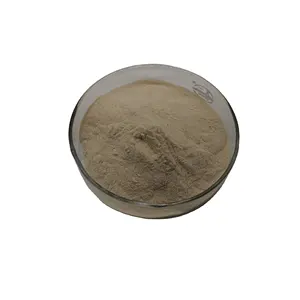 Wholesale Supplier Good Quality High Purity Natural Psyllium Husk Powder