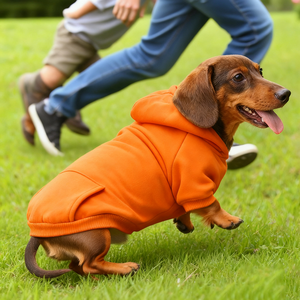 맞춤 제작 디자이너 럭셔리 강아지 스웨트셔츠 XL & XS 사이즈, 봄가을용 고양이 후드 코트 프린트 패턴 반려동물 의류 - Product Image 5