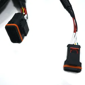 Custom Waterproof Tyco Auto Cable Harness Harness Cable Loom Assembly Car Wire Electrical Wiring Harness