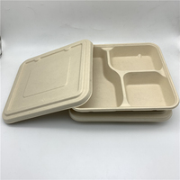 100% Compostable 3 Compartiment Boîte À Lunch Jetable Biodégradable Pulpe Alimentaire Bagasse Conteneurs Alimentaires