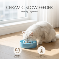 Bol orthopédique surélevé en céramique haute température 1260C pour chats et chiens, anti-menton noir, à alimentation lente, compatible micro-ondes, étanche
