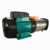 Pompe à eau à jet de haute qualité 1hp 0.75kw 1.1 Kw 1.5hp en fonte électrique de surface auto-amorçante à haute pression OEM