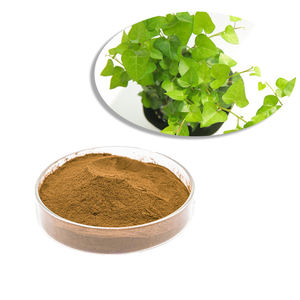 Extracto de polvo de <span class=keywords><strong>hiedra</strong></span> para la <span class=keywords><strong>tos</strong></span> extracto de hoja de <span class=keywords><strong>hiedra</strong></span> pura a granel fábrica Halal - Product Image 1