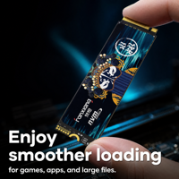 FANXIANG S790E M.2 2280 SSD 1TB NVMe PCIe 4.0 Disque SSD Interne 600TBW OEM Fournisseur en Gros pour Système d'Assemblage