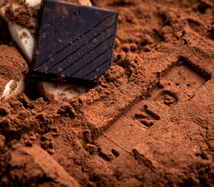 <span class=keywords><strong>Poudre</strong></span> de <span class=keywords><strong>chocolat</strong></span> <span class=keywords><strong>chaud</strong></span> et de <span class=keywords><strong>cacao</strong></span> <span class=keywords><strong>chaud</strong></span>, fabrication chinoise, 25 kg/20 g - Product Image 5