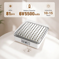 Lampe d'urgence LED rechargeable murale, 81 LED, lampe de camping portable, lanterne pour la maison, les voyages et l'extérieur