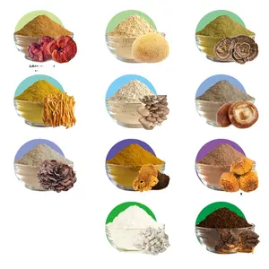 Poudre d'extrait de champignon à base de plantes de qualité supérieure-USDA biologique-crinière de Lions, Reishi, Cordyceps, Chaga, queue de dinde