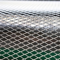 Plateforme de passage en treillis métallique galvanisé à chaud, personnalisable et extensible