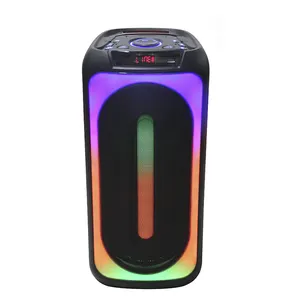 2022 TWS Dual 8 Zoll Drahtloser Bluetooth-Wagen Karaoke Portable PA PRO Wiederauf ladbarer Lautsprecher mit modischem Disco-LED-Licht