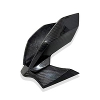 Pour BMW S1000R 2021-2024 M1000R 100r Spoiler Aile Carénage Lèvre Avant Aile Latérale Fixe Moto Accessoires Partie