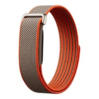 Bracelet de montre en nylon et silicone de remplacement, réplique 1:1, pour Google Fitbit Air, bracelet de poignet pour Fitbit Air FBR002