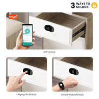 Cerradura de Gabinete con Huella Dactilar, Cerradura Biométrica Inteligente sin Llave, Cerradura Oculta para Cajón y Armario, Cerradura Eléctrica de Seguridad para Muebles de Madera para Oficina