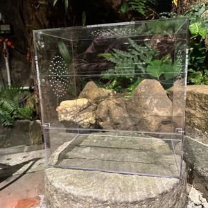 New Acrylic Terrarium Reptile Insect <b>Enclosure</b> Jumping <b>Spider</b> <b>Enclosure</b> Reptile Cage for Chameleon Lizard - Product Image 6