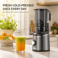 Extracteur de jus lent avec grande goulotte d'alimentation de 14 cm, moteur silencieux à 60 tr/min, rendement élevé en jus de 75 %, couvercle en maille d'acier inoxydable, facile à nettoyer
