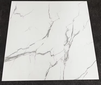 Carreaux de sol, carreaux muraux, carreaux de marbre, carreaux en porcelaine à finition émaillée pour l'intérieur, salle de bain, cuisine, salon