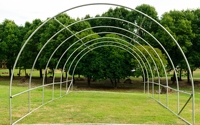 Serre hydroponique moderne en acier galvanisé robuste, kit tunnel de culture écologique pour légumes de jardin domestique