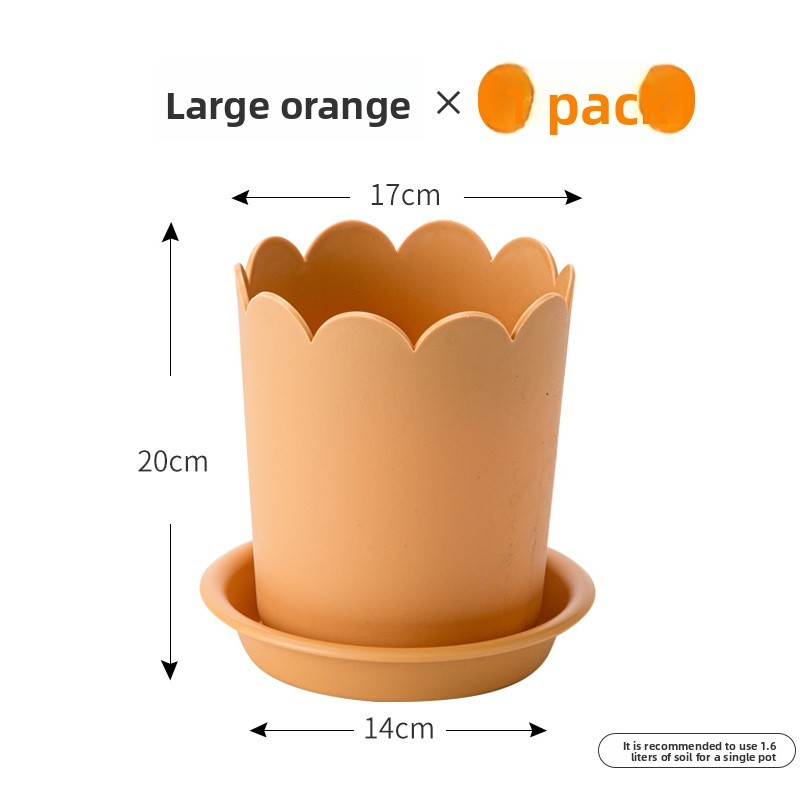 Naranja (tamaño grande) + base
