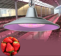 Lampe de culture LED extérieure étanche en aluminium 36W 50W à spectre complet pour la culture de fruits du dragon et de fraises
