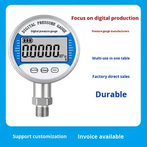 Manómetro Digital de Acero Inoxidable de Alta Precisión, Medición de Presión Absoluta de Vacío, Compatible con Gas Argón, RS485 - Product Image 2