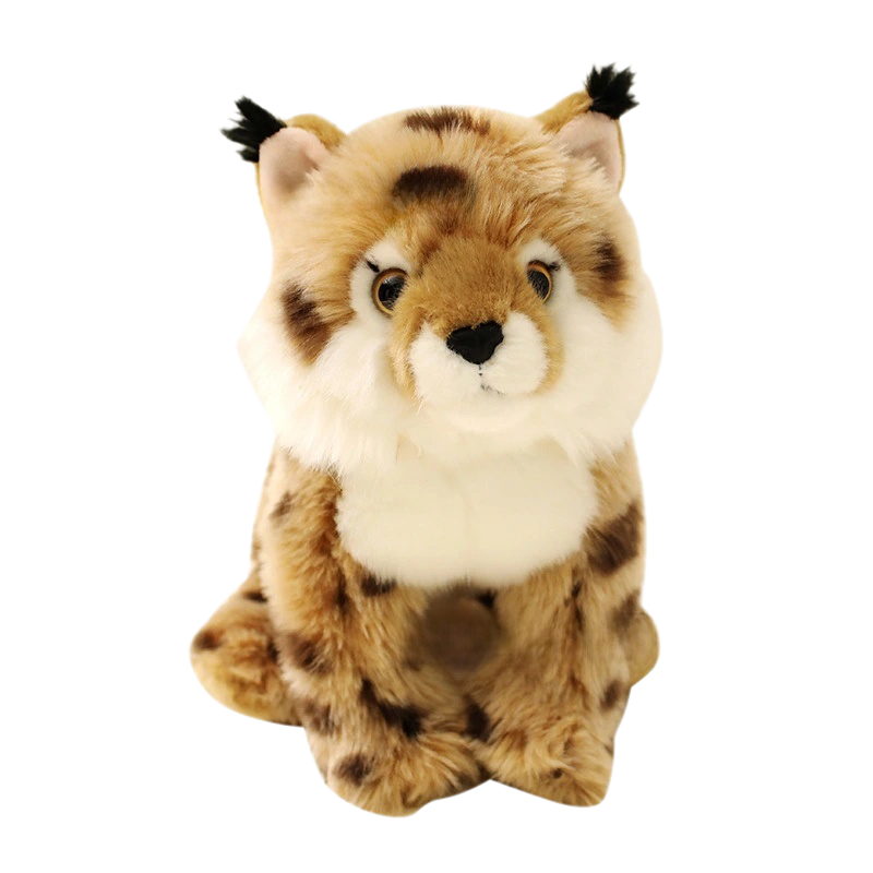 Lynx