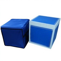 Incubateur Commercial VIP à Glace Sèche pour Transport en Chaîne du Froid, Boîte de Stockage Basse Température, Réfrigérateur Spécial Médicaments GSP