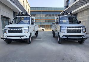 Factory New Energy Vehicles Cars Mini Electric 4X4 Pickup Truck Sale 48V 60V Electric Car Elderly Pickup Truck - Product Image 4