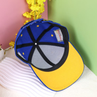 Sombreros de camionero con logotipo personalizado Parche de 5 paneles Deporte Correr Golf POLO Gorra de béisbol Sombreros deportivos Gorra de béisbol con logotipo bordado