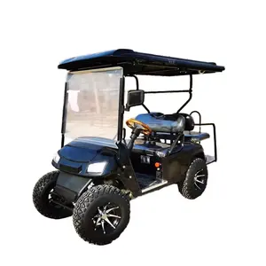 Tongcai Quảng Châu túi khí không khí treo trẻ em dưới 1000 đô la Mini Pin Lithium 48V 200AH Golf Cart với điều hòa không khí