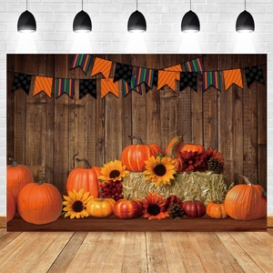Sonbahar çiftlik ahır depo zemin Backdrop kabak sepeti saman bebek portre fotoğrafçılığı arka fotoğraf fotoğraf stüdyosu - Product Image 1