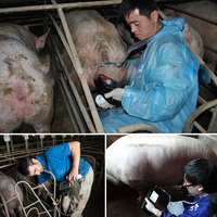 Alat USG Warna Veteriner Portabel untuk Sapi, Tes Kebuntingan Babi, Sonar, USG B Veteriner untuk Domba