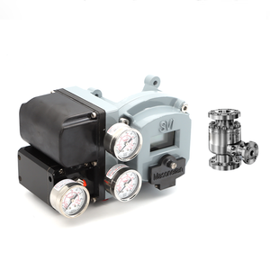 Repuestos Masoneilan SVI II de Alto Rendimiento Digital con Válvulas para Central Eléctrica de Shanghái, Repuestos SVI II - Product Image 5