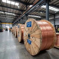 Câble d'alimentation blindé en cuivre XLPE IEC 12/20kV YJV22 3x70mm CN pour les projets de sous-stations au Congo Kinshasa