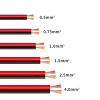 PVC-isoliertes Anschlusskabel 2,5mm² 2-adrig 300V Mehradriges Kupferkabel für Elektronische Geräte Innenverkabelung