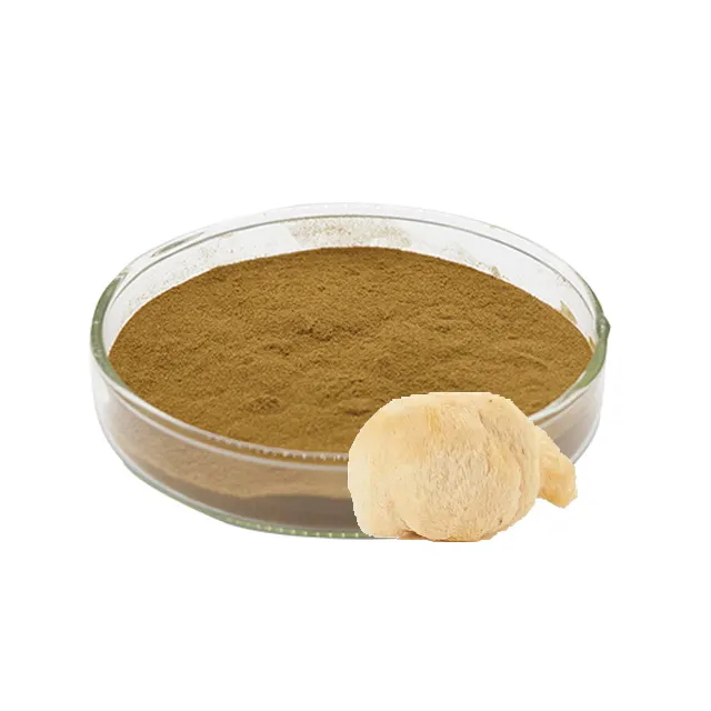 Hericium Erinaceus Extract Powder,Organic,Erinacines,Hericenones,lion's mane mushroom extract