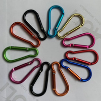 Vente chaude 2021 : Mousquetons en aluminium 67x36mm, forme plate en D, design moderne de haute qualité, couleurs personnalisées pour bouteilles, sacs et chargeurs