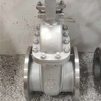 Válvula de Compuerta de Hierro Dúctil de Alta Calidad con Vástago Fijo y Sello Suave para Agua y Aceite con Acero Inoxidable 304
