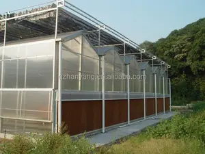 Large Intelligent Venlo Polycarbonate Glass Greenhouse Hydroponic Growing System Greenhouse For Tomato/Strawberry
