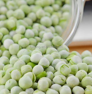 Haricots verts congelés Offre Spéciale <span class=keywords><strong>Prix</strong></span> raisonnable pour la vente en gros Catégorie Légumes secs - Product Image 5